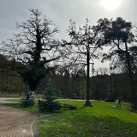 Lesny Dom 住宿加早餐酒店