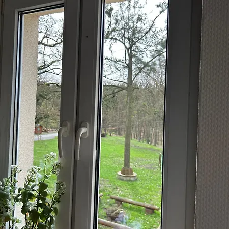 Lesny Dom Bed & Breakfast
