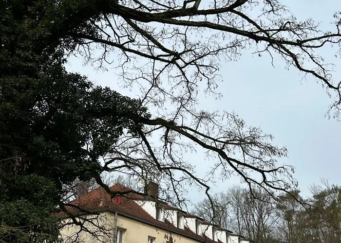 Lesny Dom Bed and breakfast