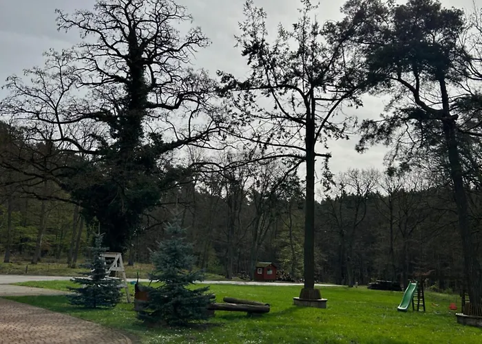 Lesny Dom Bed and breakfast