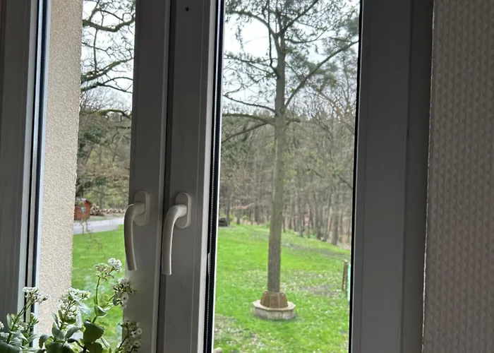 Lesny Dom Bed and breakfast